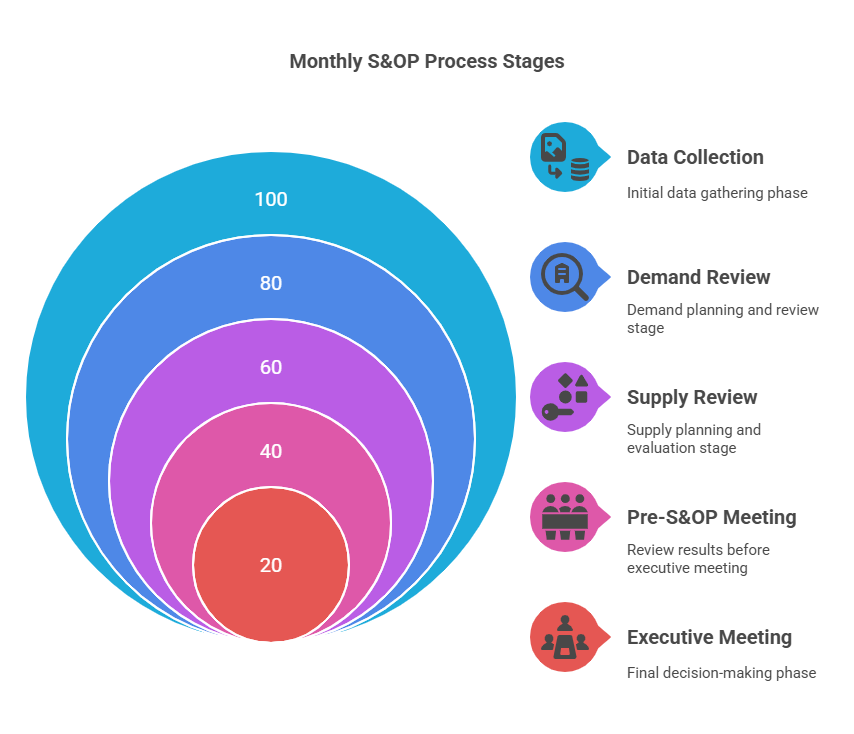 Sales and Operations Planning (S&OP)