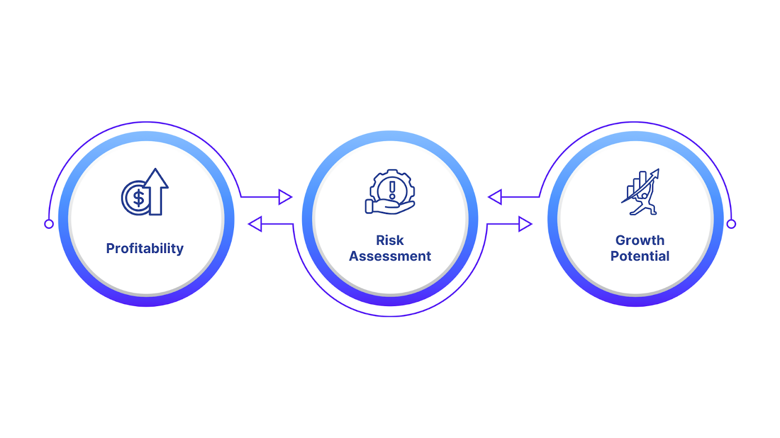 Evaluating Profitability, Risk, and Growth Potential
