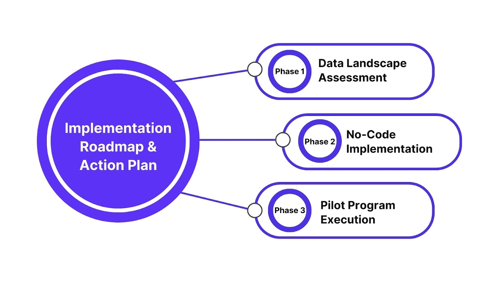 Implementation Roadmap and Action Plan